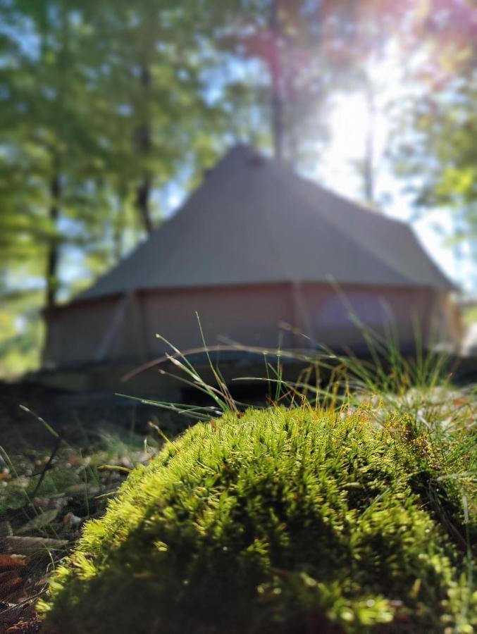 Naturglamping Kristianstad Extérieur photo